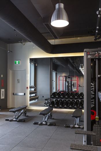 Bio-steel curated fitness centre